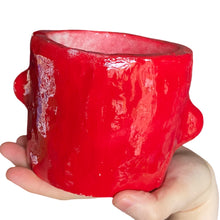 Load image into Gallery viewer, ‘Ruby roses' Chunky Pot(one off)