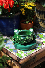 Load image into Gallery viewer, Frog Remote Control / Incense Holder (Green Classic)