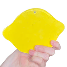 Load image into Gallery viewer, The Lemon Wall Hanging