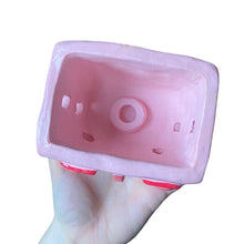 Load image into Gallery viewer, 'Roses are Red' Incense House (One-Off)
