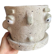 Load image into Gallery viewer, 'Speckled' Large Plant Pot (one-off) SALE