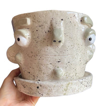 Load image into Gallery viewer, 'Speckled' Large Plant Pot (one-off) SALE