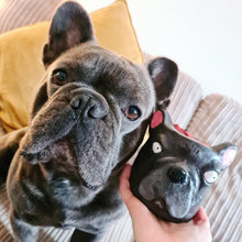 Load image into Gallery viewer, Pet Commission Pots (UK Only)