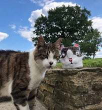 Load image into Gallery viewer, Pet Commission Pots (UK Only)