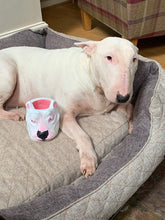 Load image into Gallery viewer, Pet Commission Pots (UK Only)