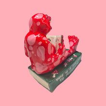 Load image into Gallery viewer, One-Off 'A Fun-Guide to Mushrooms' Bookend