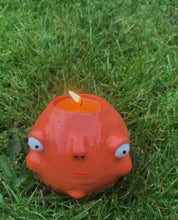 Load image into Gallery viewer, (Pre-Order) The Ponky Orange