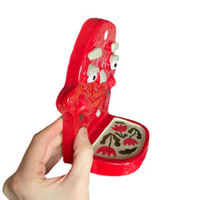 Load image into Gallery viewer, ‘Ruby roses&#39; Ponky Wall Shelf (one off)
