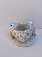Load image into Gallery viewer, Frog Remote Control / Incense Holder (Speckled)

