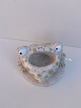 Load image into Gallery viewer, Frog Remote Control / Incense Holder (Speckled)
