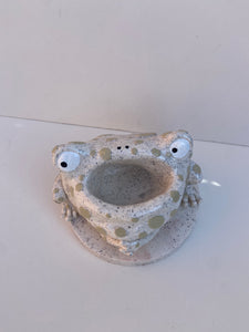 Frog Remote Control / Incense Holder (Speckled)