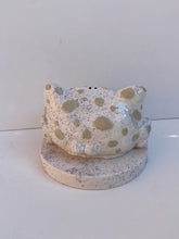 Load image into Gallery viewer, Frog Remote Control / Incense Holder (Speckled)
