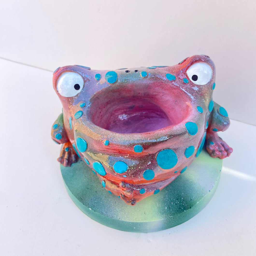 Frog Remote Control / Incense Holder (one off green and pink)