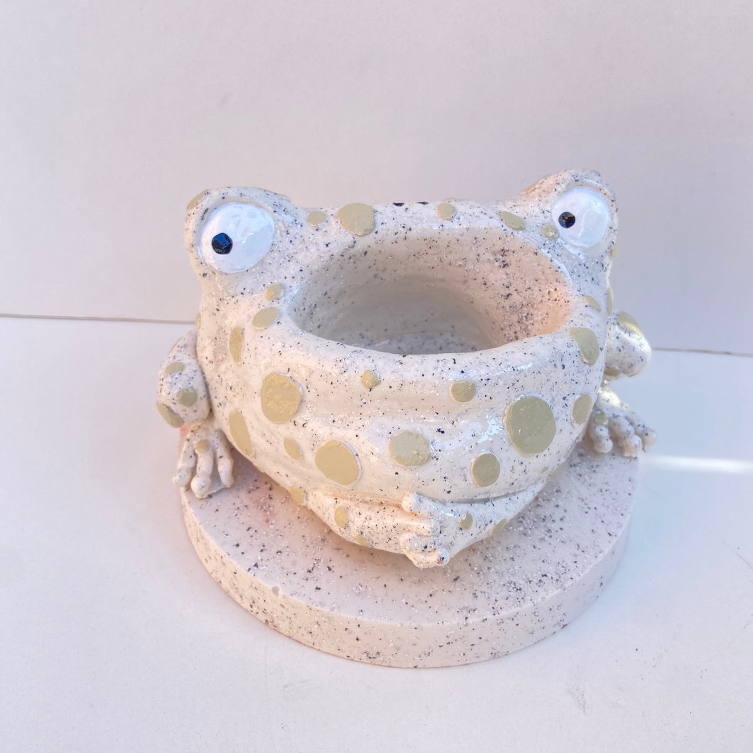 Frog Remote Control / Incense Holder (Speckled)